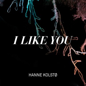 ดาวน์โหลดและฟังเพลง I Like You พร้อมเนื้อเพลงจาก Hanne Kolstø