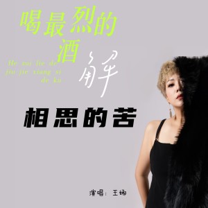 Album 喝最烈的酒解相思的苦 from 王娜