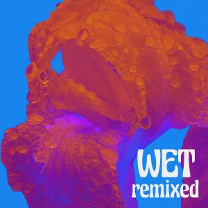 Femdom的专辑WET remixed (Explicit)