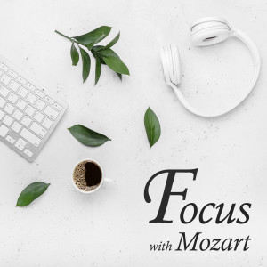 Various Artists的專輯Focus with Mozart