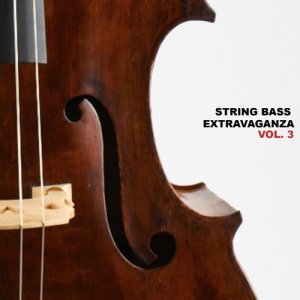 ดาวน์โหลดและฟังเพลง Some Day You'll Know พร้อมเนื้อเพลงจาก State Street Ramblers
