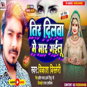Listen to Tir Dilwa Me Mar Gailu (Bhojpuri) song with lyrics from Vikash Bisleri