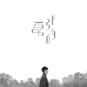 Album Zhang Lei De oleh 张磊