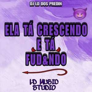 收聽DJ LD DOS PREDIN的Ela Ta Crescendo e Ta Fudendo Vs Beat Modinha (Explicit)歌詞歌曲