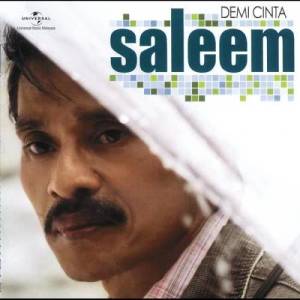 收聽Saleem的Terlena歌詞歌曲