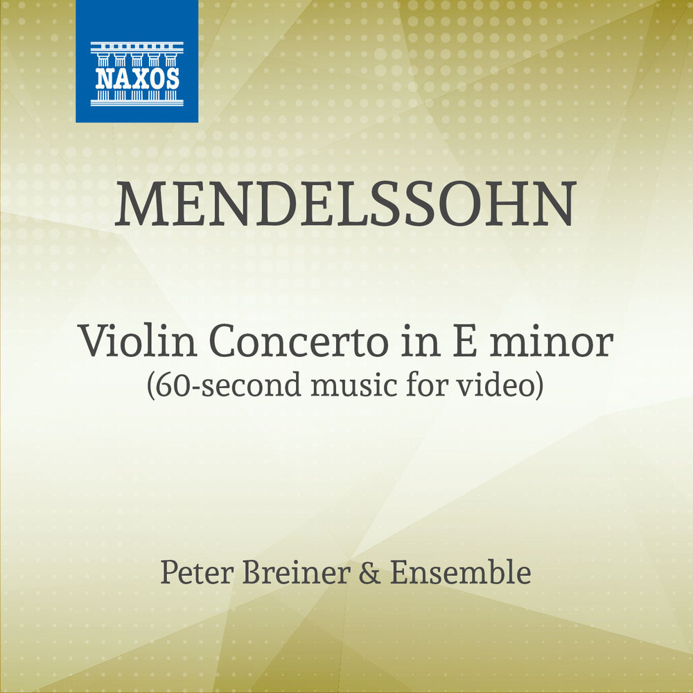 Violin Concerto in E Minor (60 sec Version for Tiktok)