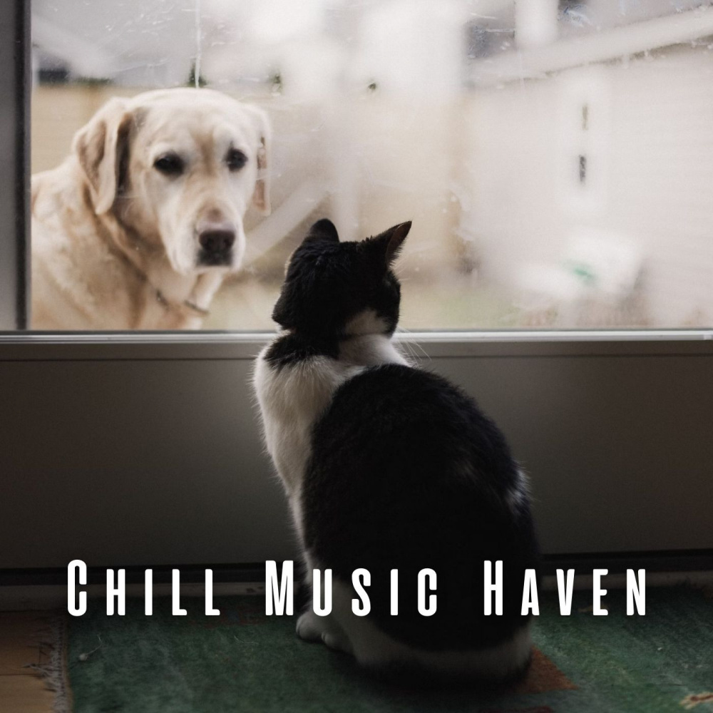 Peaceful Pet Soundscapes