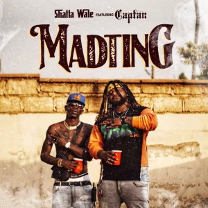 Listen to Madtin (Explicit) song with lyrics from Shatta Wale