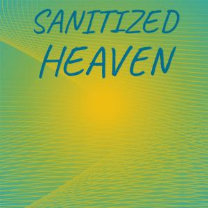 ดาวน์โหลดและฟังเพลง Sanitized Heaven พร้อมเนื้อเพลงจาก Alon Fror