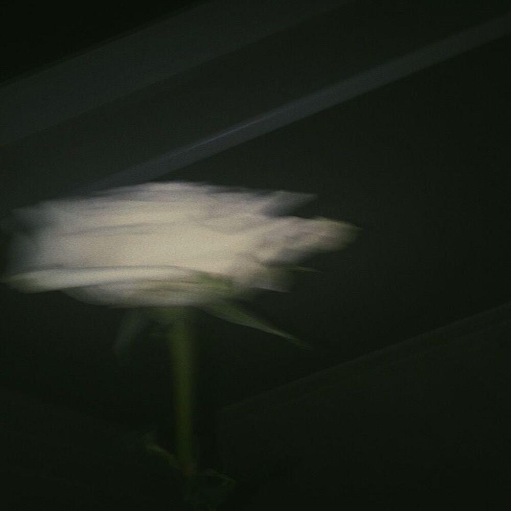 Might Die (feat. TNS 1LL W1LL) (Explicit)