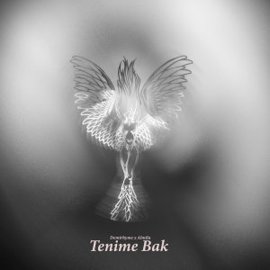收聽Demirhyme的Tenime Bak歌詞歌曲