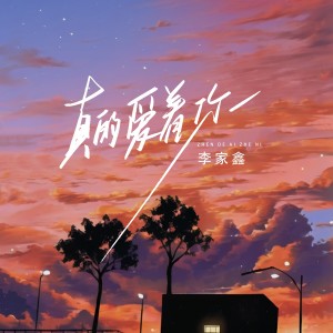 Listen to 真的爱着你 (深情版) song with lyrics from 李家鑫