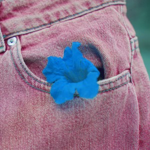 ดาวน์โหลดและฟังเพลง Pink Jeans พร้อมเนื้อเพลงจาก Biru Baru