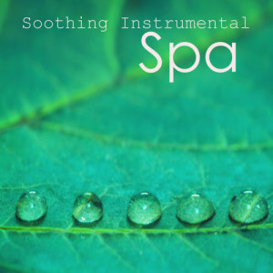 ดาวน์โหลดและฟังเพลง Danny Boy พร้อมเนื้อเพลงจาก Instrumental Music Songs