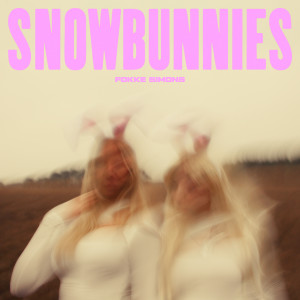 Album SNOWBUNNIES (Explicit) from Fokke Simons