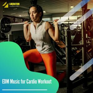 Listen to House Fun song with lyrics from Advic - D