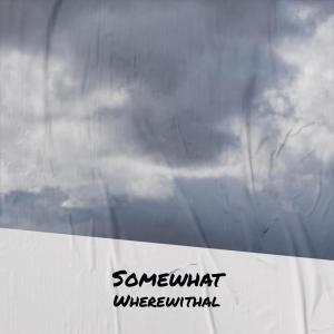 Various的专辑Somewhat Wherewithal