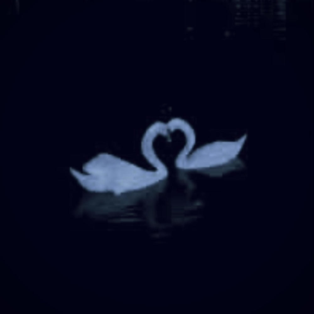 a bird in hand (feat. Fyeward) (Explicit)