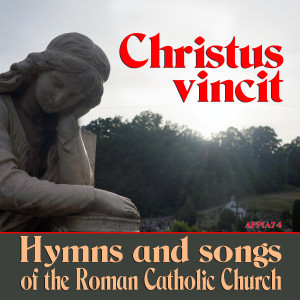 ดาวน์โหลดและฟังเพลง Vieni Jesu Amor Mi พร้อมเนื้อเพลงจาก Canticum Canticorum