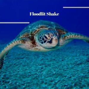 Dengarkan lagu Whereby Focus nyanyian Darn Vaal dengan lirik