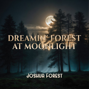 Listen to Amazing Relaxation song with lyrics from Joshua Forest