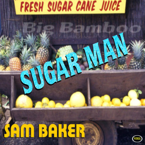 收聽Sam Baker的I Can't Break Away歌詞歌曲