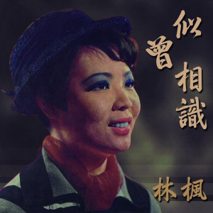 Listen to 似曾相識 song with lyrics from 林枫