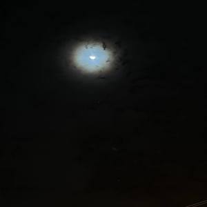 Listen to ยังคิดถึง song with lyrics from Medkit.Z