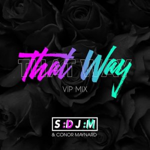 อัลบัม That Way (VIP Mix) ศิลปิน SDJM