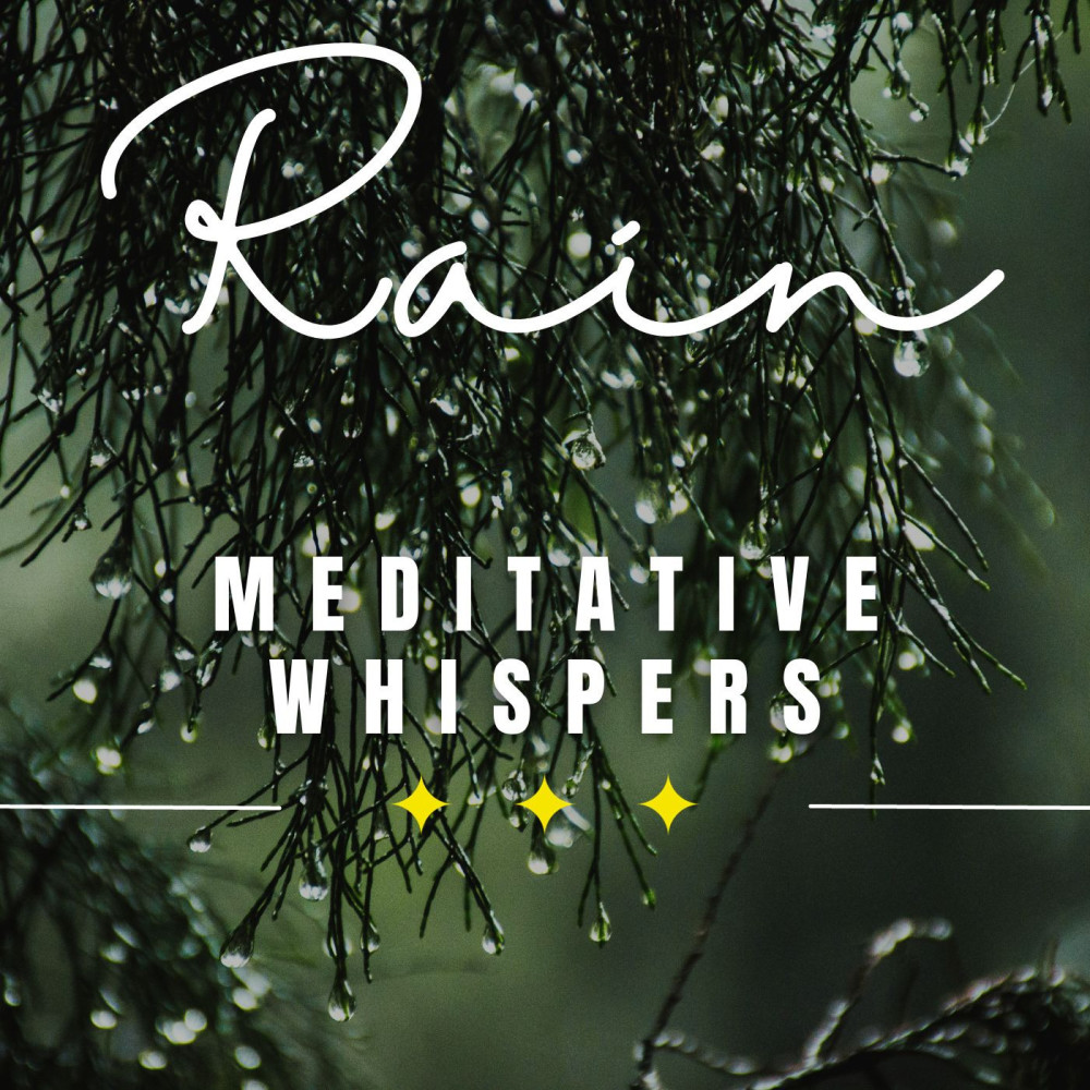 Zen Rain Meditation