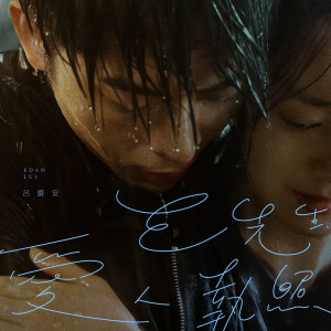Listen to E先生 爱人执照 song with lyrics from Edan 吕爵安
