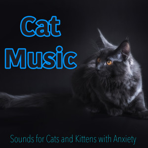 收听Relax My Kitten的In the Cat Basket歌词歌曲