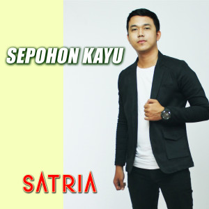 收聽Satria的Sepohon Kayu歌詞歌曲