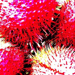 收聽current device的Grace 19歌詞歌曲