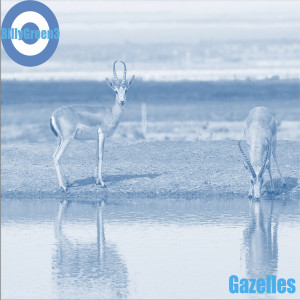 BillyGreen3的專輯Gazelles