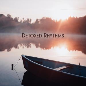 Ashour的專輯Detoxed Rhythms