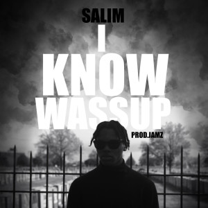 收聽Salim的I Know Wassup歌詞歌曲