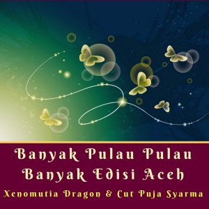 Listen to Banyak Pulau Pulau Banyak Edisi Anime Nightcore song with lyrics from Xenomutia Dragon