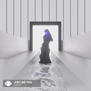 ดาวน์โหลดและฟังเพลง Just Like You พร้อมเนื้อเพลงจาก Merplexit