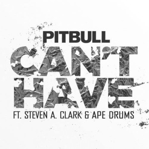 收聽Pitbull的Can't Have歌詞歌曲