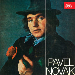 Listen to Sluneční dívka song with lyrics from Pavel Novák