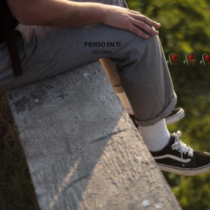 Listen to Pienso En Ti song with lyrics from Distobal