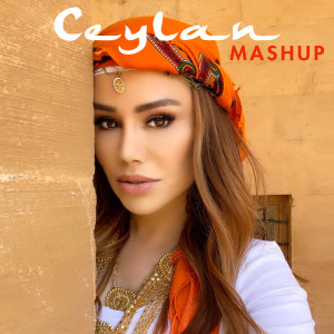 Listen to Zeynezeyne / Nabe / Rındamin / Derê Mala Keçıke (Mashup) song with lyrics from Ceylan