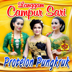 อัลบัม Protelon Pungkruk ศิลปิน Langgam Campursari