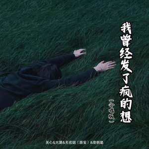 Album 我曾经发了疯的想（合唱版） from 关心