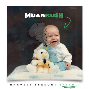 ดาวน์โหลดและฟังเพลง Harvest Season พร้อมเนื้อเพลงจาก Muarkush