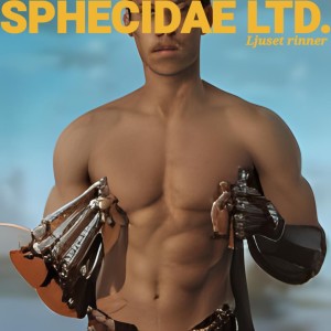 收听Sphecidae Ltd.的Firework歌词歌曲