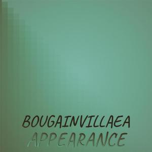 Album Bougainvillaea Appearance from Various