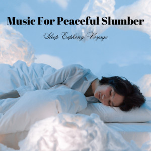 voyager的專輯Music For Peaceful Slumber: Sleep Euphony Voyage