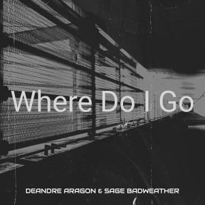 Listen to Where Do I Go (Explicit) song with lyrics from DeAndre Aragon